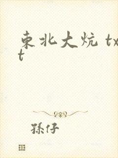 东北大炕 txt