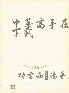 中华高手在异世下载