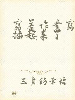 写着作业写着就插起来了