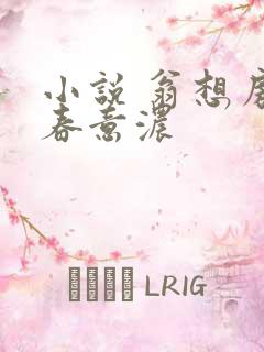 小说 翁想房中春意浓