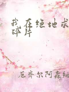 我在绝地求生捡碎片