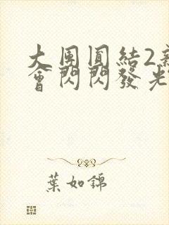 大团圆结2亲情会闪闪发光亲情会2