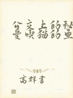 公交上的秘密 爱吃猫的鱼