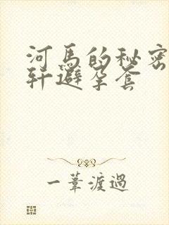 河马的秘密河文轩避孕套