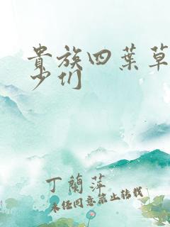 贵族四叶草的恶少们