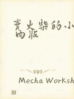 卖火柴的小男孩 肉版