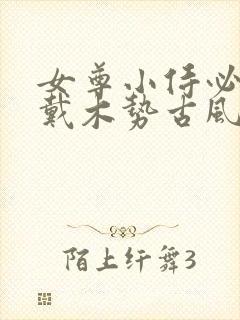 女尊小侍必须佩戴木势古风