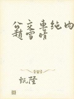 公交车纯肉超H赵雪晴