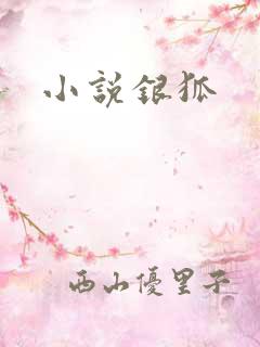 小说银狐