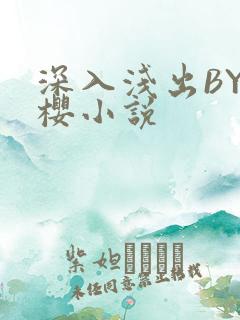 深入浅出BY胖樱小说
