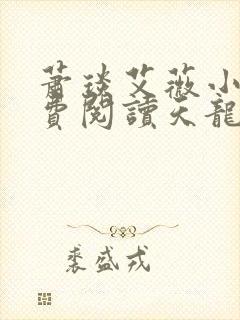 萧琰艾薇小说免费阅读天龙殿