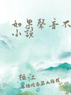 如果声音不记得小说