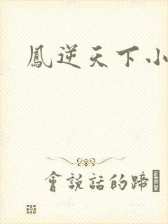 凤逆天下小说