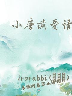 小唐璜爱情历史