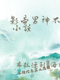 影帝男神不节制 小说