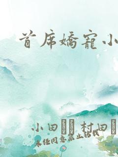 首席娇宠小情人