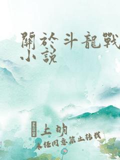 关于斗龙战士的小说