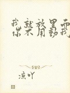 我就放里面不动你不用动我动