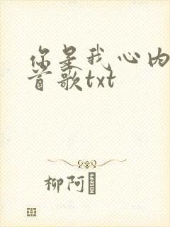 你是我心内的一首歌txt