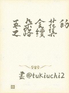 五朵金花的沉沦之路续集