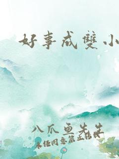好事成双小说