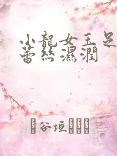 小龙女玉足娇喘蕾丝湿润