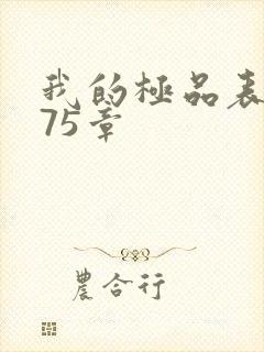 我的极品表嫂第75章