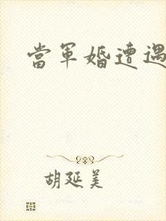 当军婚遭遇爱情