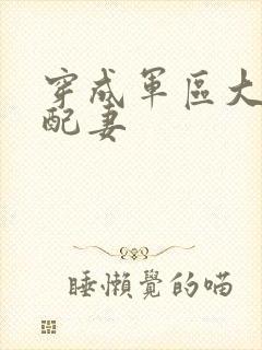 穿成军区大佬女配妻