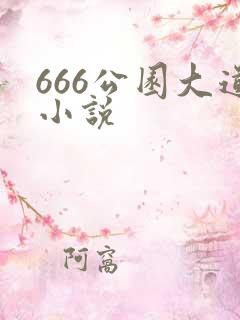 666公园大道小说