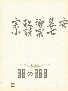 宗政御慕安安的小说宗七