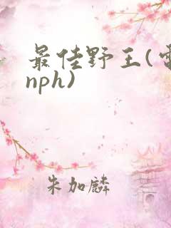 最佳野王(电竞nph)