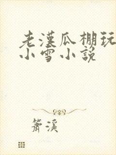 老汉瓜棚玩小丹小雪小说