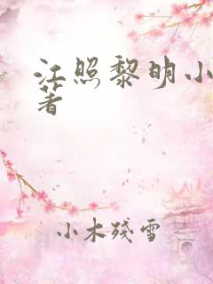 江照黎明小说原著