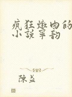 疯狂炖肉的全部小说宁韵