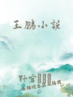 王鹏小说
