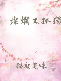 灿烂又孤独的神