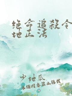 绝命追杀令2就地正法