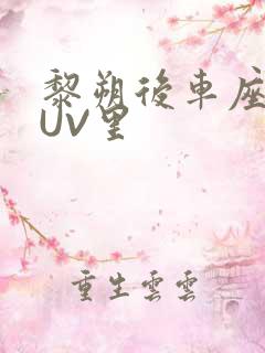 黎朔后车座上SUV里