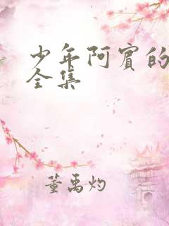 少年阿宾的故事全集