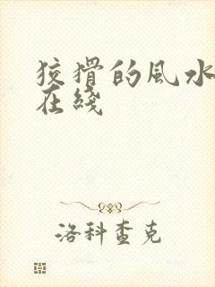 狡猾的风水相师在线