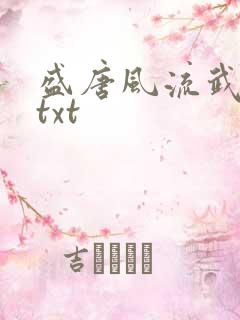 盛唐风流武状元txt