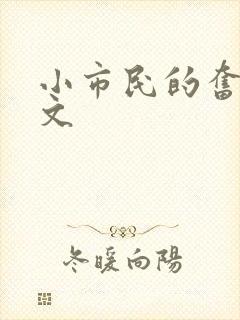 小市民的奋斗燃文