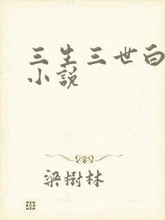 三生三世白暮泪小说