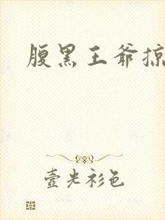 腹黑王爷掠邪妃