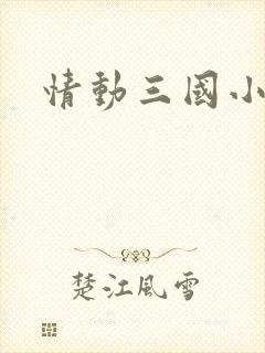 情动三国小说