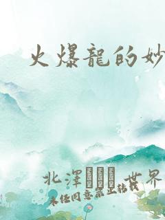 火爆龙的妙管家