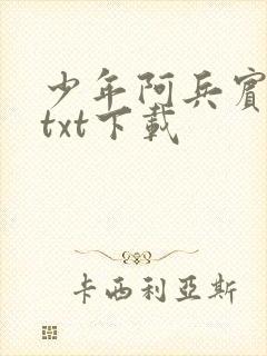 少年阿兵宾小说txt下载