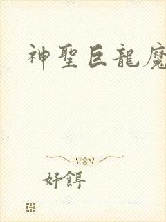 神圣巨龙魔法师