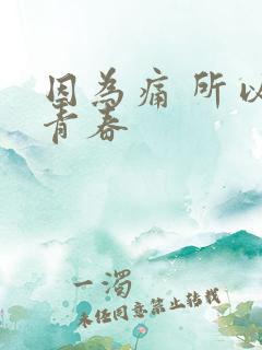 因为痛 所以叫青春